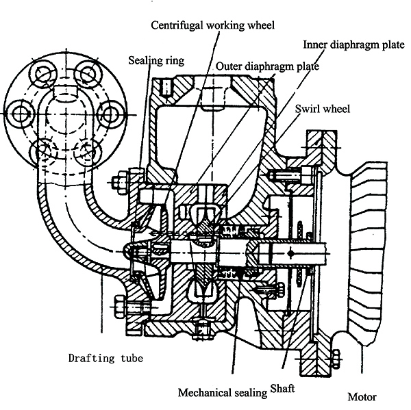 CWX structure.jpg